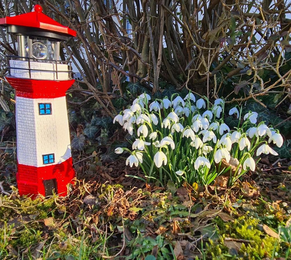 Ostseesternchen Zempin Zewnętrze zdjęcie
