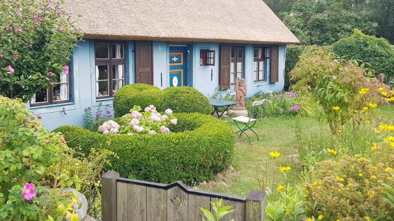 Ostseesternchen Zempin Zewnętrze zdjęcie
